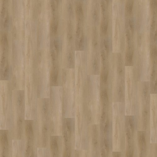 Belakos Attico 810 stroken (dryback)