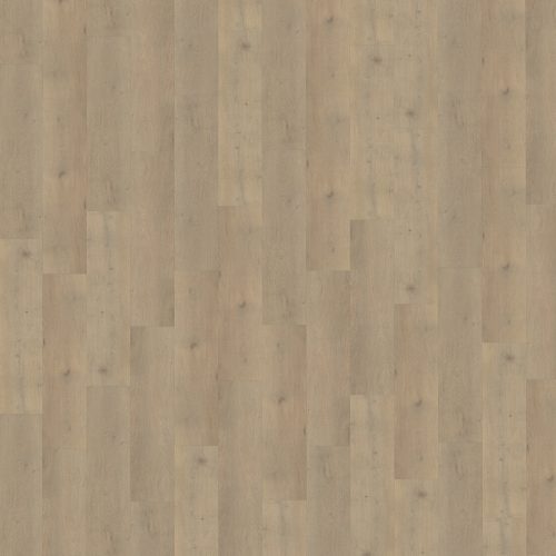 Belakos Attico 860 stroken (dryback)