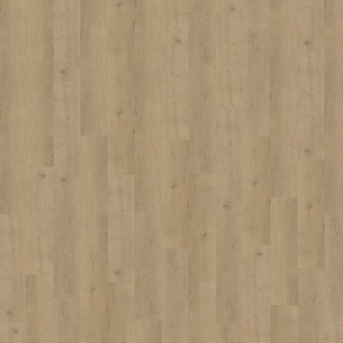 Belakos Attico 870 stroken (dryback)