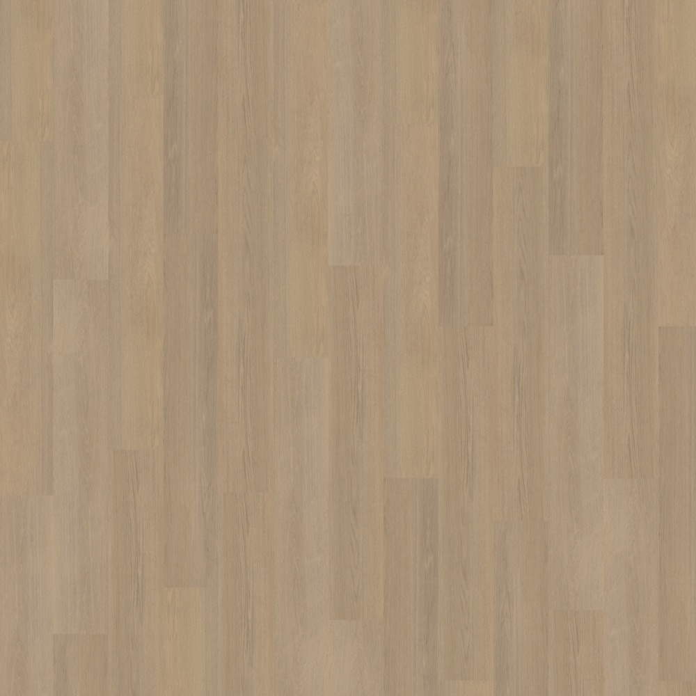 Belakos Futuro 530 stroken (dryback)