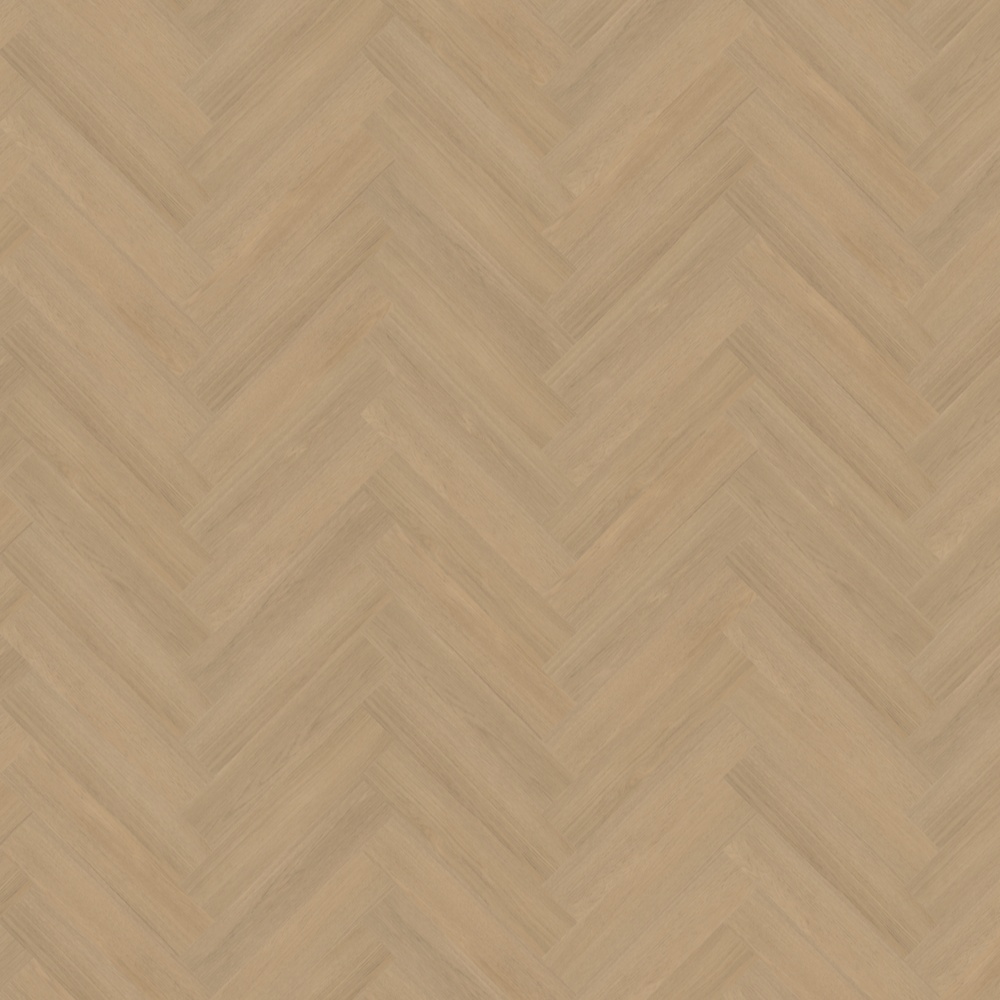 Belakos Futuro 51 visgraat XL (dryback)