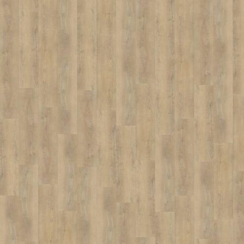 Belakos Palazzo 720 stroken (dryback)