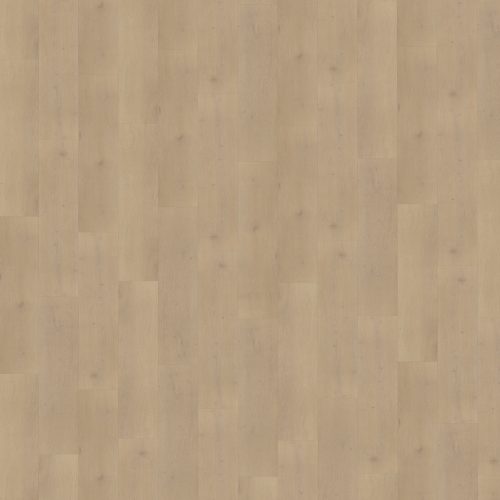 Belakos Palazzo 770 stroken (dryback)