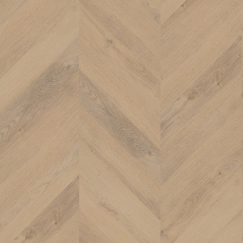 Belakos Palazzo 72 hongaarse punt (dryback)