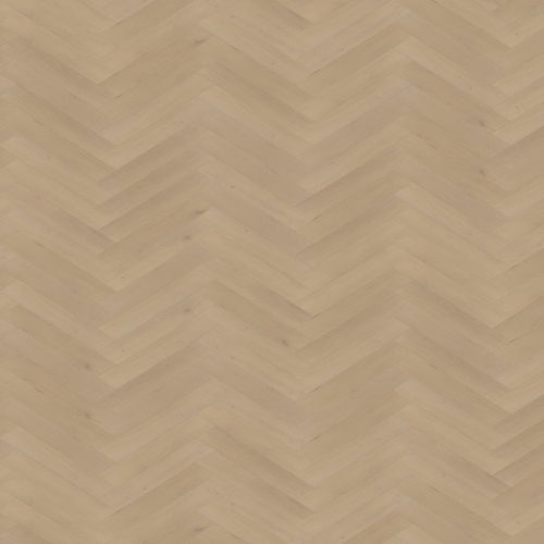 Belakos Palazzo 77 visgraat (dryback)