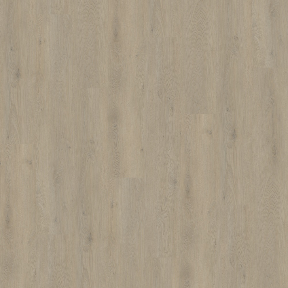 Gelasta Mystic 1803 stroken (dryback) Smoked light